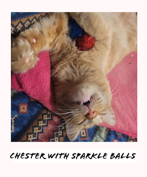 Cat laying with sparkle ball cat toy