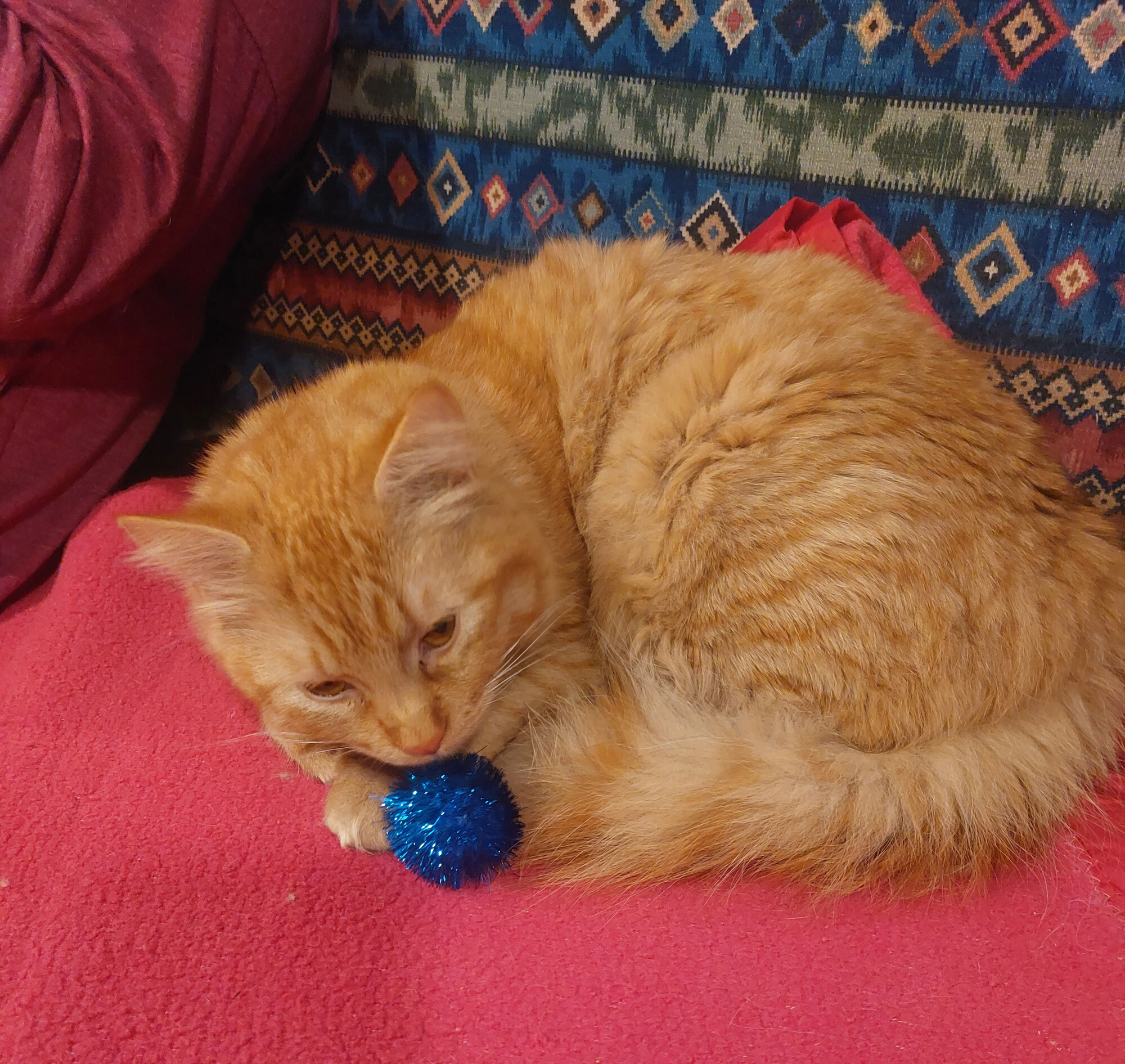 Orange cat sleeping with a sparkle ball