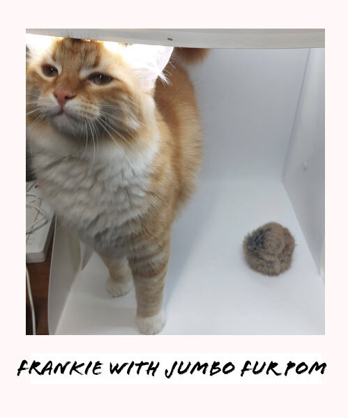 Frankie with fur pom ball