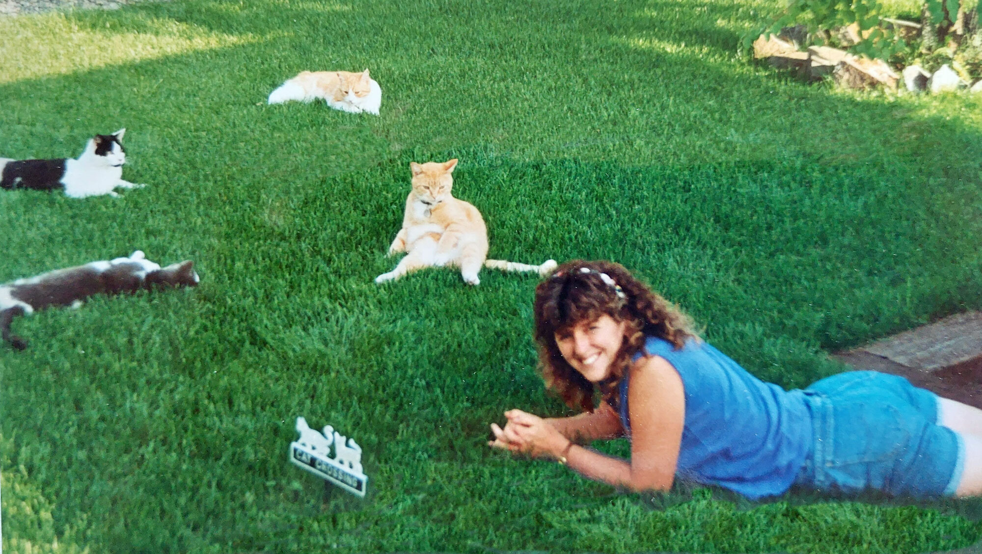 lady laying in a lawn with 4 cats