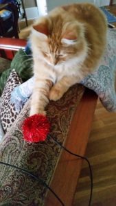 tucker-with-sparkle-ball-wand-169x300.jpg